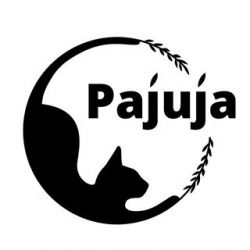 Pajuja розплідник кішок